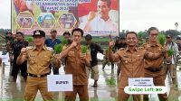 Optimasi Lahan Rawa, A Asman : Bagian Dari Upaya Tingkatkan Produksi Padi Secara Berkelanjutan