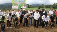 Dukung Swasembada Pangan Program Presiden, Bupati Bone Andi Asman Tanam Jagung dan Siapkan 500 Hektar