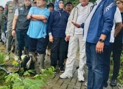 Wagub Sultra Tinjau Lokasi Kerja Bakti di Lahan Pemprov Sekitar Same Hotel Kendari Barat : Dorong Penataan untuk Kepentingan Publik