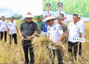 Bupati Andi Asman Sulaiman Turun ke Sawah, Ucapannya Buat Petani Tersenyum Lega