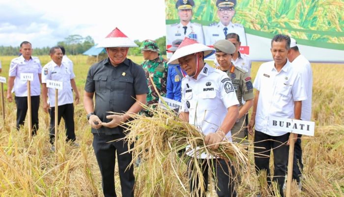 Bupati Andi Asman Sulaiman Turun ke Sawah, Ucapannya Buat Petani Tersenyum Lega