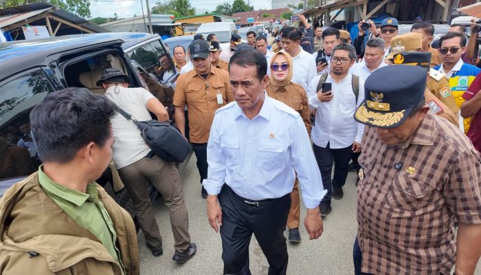 Mentan Tinjau Sawah Terdampak dan Korban Banjir di Sultra, Salurkan Bantuan Rp10 Miliar