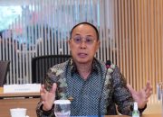 Perkuat Sinergi Pusat-Daerah, Gubernur Sultra Audiensi dengan Menteri Kesehatan RI