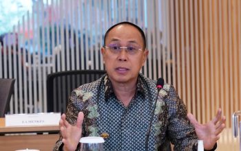 Perkuat Sinergi Pusat-Daerah, Gubernur Sultra Audiensi dengan Menteri Kesehatan RI