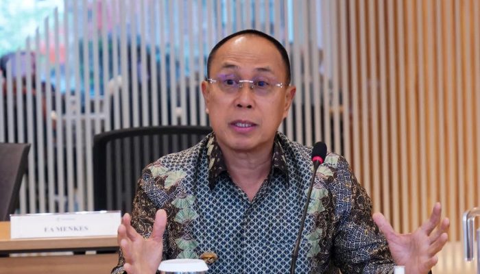 Perkuat Sinergi Pusat-Daerah, Gubernur Sultra Audiensi dengan Menteri Kesehatan RI