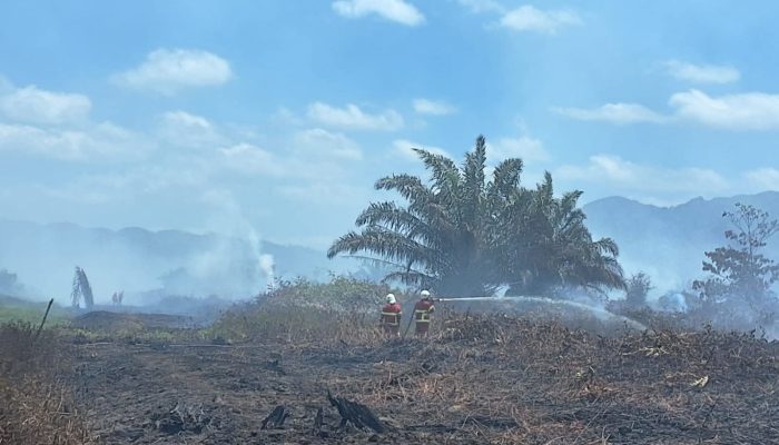 Pemprov Sultra Terjunkan Tim Gabungan Tangani Karhutla di Kolaka Timur