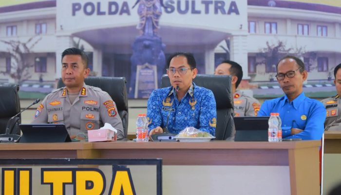Kadis Kominfo Sultra Paparkan Transformasi Digital untuk Mudahkan Akses Perlindungan Sosial