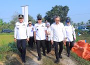 Gubernur Sultra Dampingi Menko Pangan Dialog dengan Petani Konsel