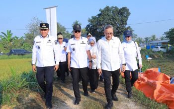 Gubernur Sultra Dampingi Menko Pangan Dialog dengan Petani Konsel