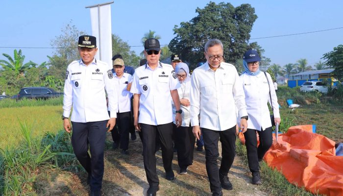 Gubernur Sultra Dampingi Menko Pangan Dialog dengan Petani Konsel